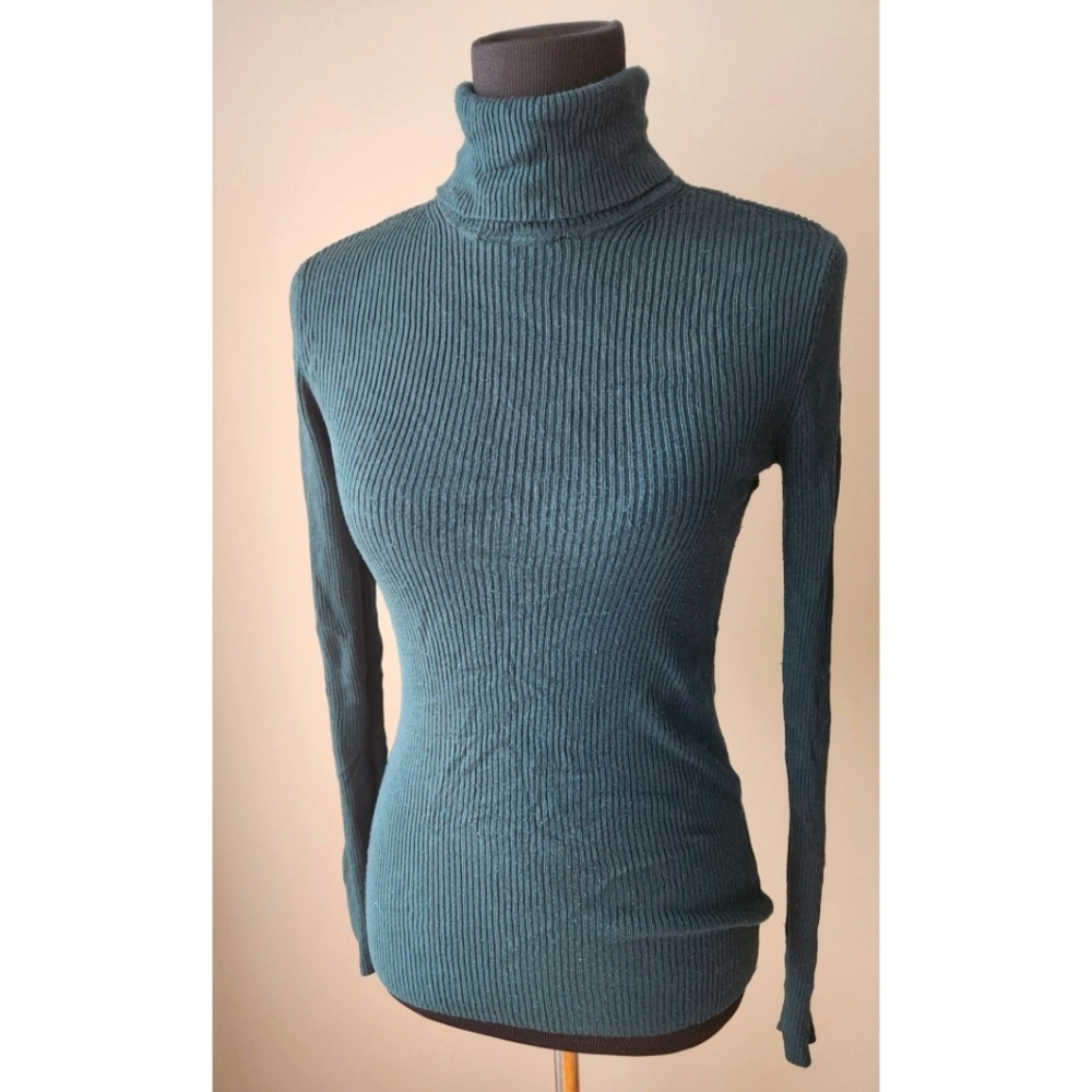 Express Turtleneck